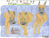 Puppies